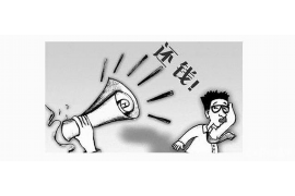 大悟债务清欠服务